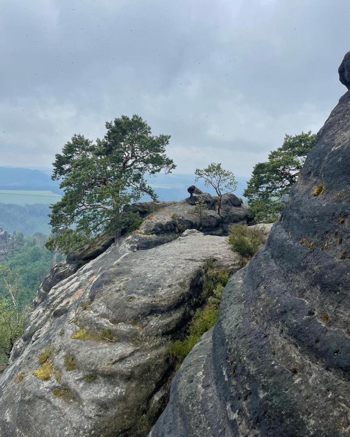 Bergblick Apartment SäChsische Schweiz 세브니츠 외부 사진